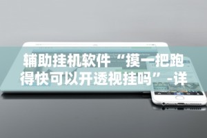 辅助挂机软件“摸一把跑得快可以开透视挂吗”-详细教程