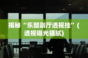 揭秘“乐酷副厅透视挂”(透视曝光猫腻)