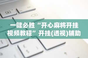 终于懂了“新麻圈挂”详细外挂辅助详细教程