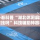 必看科普“湖北休闲麻将有挂吗”科技辅助神器手机版教程