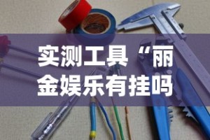 实测工具“丽金娱乐有挂吗[分享装挂详细步骤]