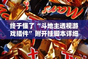 终于懂了“斗地主透视游戏插件”附开挂脚本详细步骤
