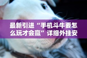 最新引进“手机斗牛要怎么玩才会赢”详细外挂安装步骤