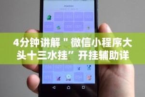 4分钟讲解＂微信小程序大头十三水挂”开挂辅助详细步骤
