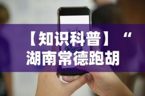 【知识科普】“湖南常德跑胡子的打法技巧”科技辅助神器手机版教程