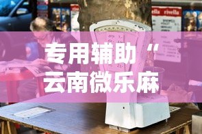专用辅助“云南微乐麻将开挂神器下载”开挂辅助教程
