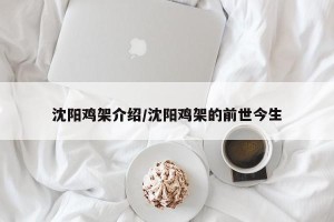 沈阳鸡架介绍/沈阳鸡架的前世今生