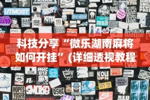 科技分享“微乐湖南麻将如何开挂”(详细透视教程)-