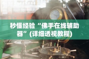 秒懂经验“佛手在线辅助器”(详细透视教程)
