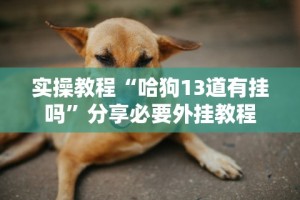 科普｜“皮皮跑得快怎么开挂”通用版下载教程！