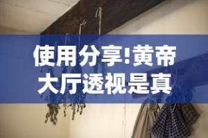使用分享!黄帝大厅透视是真的吗”揭秘透视辅助万能挂用法