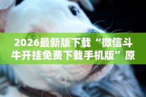 秒懂经验“微乐双扣怎样有好牌”(透视挂)辅助透视教程