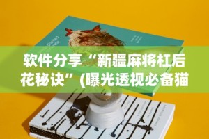 软件分享“新疆麻将杠后花秘诀”(曝光透视必备猫腻)