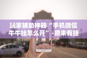 盼盼分享“微乐宁夏捉麻子辅助器免费版”科技辅助神器手机