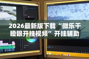 2026最新版下载“微乐干瞪眼开挂视频”开挂辅助详细步骤