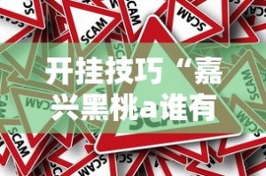 开挂技巧“嘉兴黑桃a谁有挂合作”附开挂脚本详细步骤