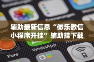 辅助最新信息“微乐微信小程序开挂”辅助挂下载”(最新开挂教程)