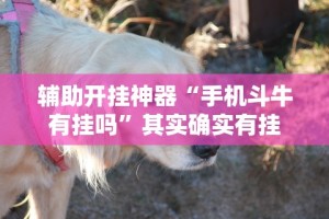 辅助开挂神器“手机斗牛有挂吗”其实确实有挂