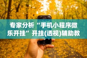 专家分析“手机小程序微乐开挂”开挂(透视)辅助教程