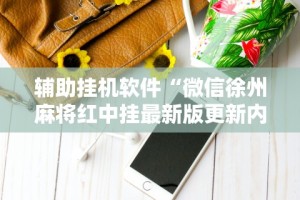 辅助挂机软件“微信徐州麻将红中挂最新版更新内容”通用版下载教程！