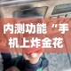 内测功能“手机上炸金花挂”(透视)其实确实有挂