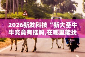 2026新发科技“新大圣牛牛究竟有挂吗,在哪里能找到”其实确实有挂