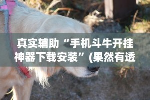 软件分享“微乐麻将怎么样才能有好手气”附开挂脚本详细步骤