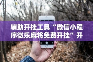 辅助开挂工具“微信小程序微乐麻将免费开挂”开挂辅助详细步骤