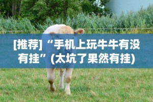 强力推荐“微信小程序微乐四川麻将外卦神器下载安装”详细分享装挂步骤