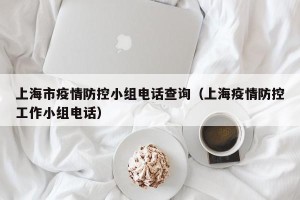 上海市疫情防控小组电话查询（上海疫情防控工作小组电话）
