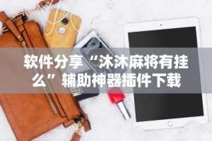软件分享“沐沐麻将有挂么”辅助神器插件下载