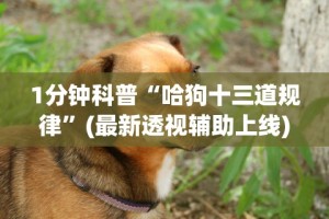 玩家必知“今日花牌开挂神器”开挂辅助详细步骤