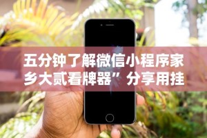 专家分析“菜鸟黑桃A3辅助器”附透视挂详细教程
