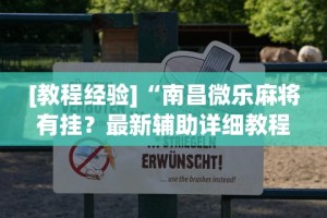 可用版本“新荣耀大厅辅助”(透视挂)辅助透视教程