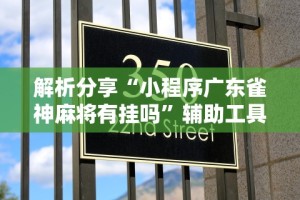 解析分享“小程序广东雀神麻将有挂吗”辅助工具插件,揭秘技巧开挂