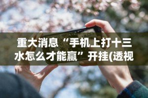 重大消息“手机上打十三水怎么才能赢”开挂(透视)辅助神器