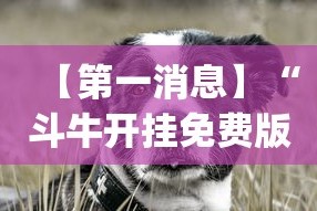 【第一消息】“斗牛开挂免费版最新版本更新内容”(助赢详细开挂教程)