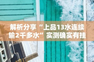 解析分享“上品13水连续输2千多水”实测确实有挂