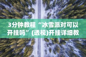 3分钟教程“冰雪派对可以开挂吗”(透视)开挂详细教程