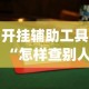 开挂辅助工具“怎样查别人打牌装了挂”开挂(透视)辅助教程