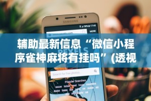 科普常识!川麻圈可以开挂吗!专业师傅带你一起了解(确实有挂)