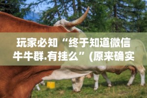 玩家必知“终于知道微信牛牛群.有挂么”(原来确实是有插件)