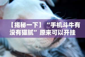 【揭秘一下】“手机斗牛有没有猫腻”原来可以开挂