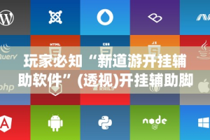 玩家必知“新道游开挂辅助软件”(透视)开挂辅助脚本+详细开挂安装教程