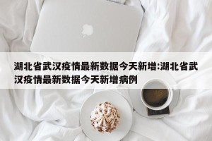 湖北省武汉疫情最新数据今天新增:湖北省武汉疫情最新数据今天新增病例
