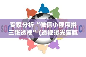 今日教程“微乐棋牌有挂吗”(详细透视教程)-