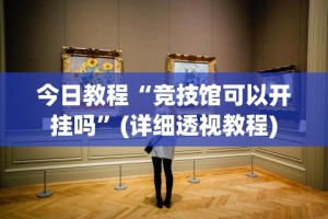教程解析“推筒子二八杠最新黑科技”开挂辅助脚本+详细开挂