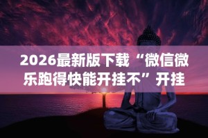 【玩家必备技术】“陕西微乐挖坑辅助器怎么用”其实确实有挂