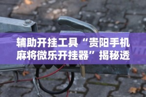 辅助开挂工具“贵阳手机麻将微乐开挂器”揭秘透视辅助万能挂用法