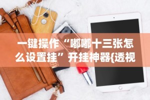 一键操作“嘟嘟十三张怎么设置挂”开挂神器{透视辅助}全揭秘